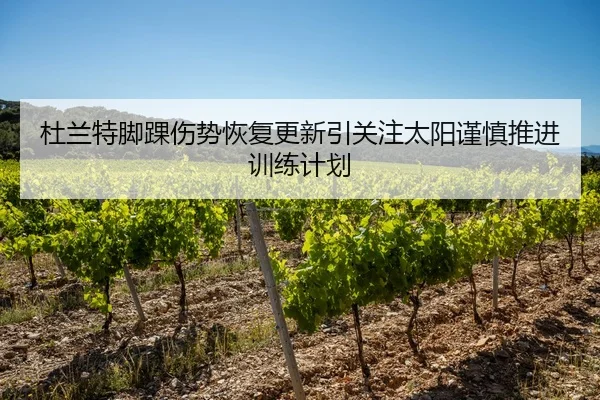 杜兰特脚踝伤势恢复更新引关注太阳谨慎推进训练计划